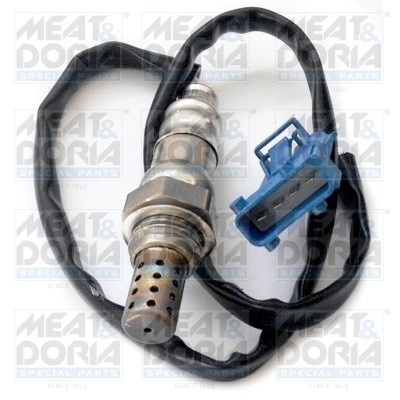 Oxygen Sensor